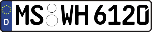 MS-WH6120