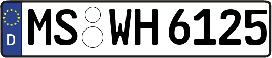 MS-WH6125