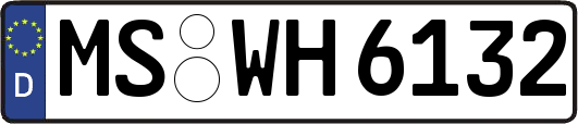 MS-WH6132