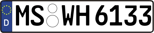 MS-WH6133