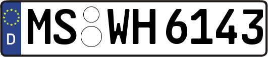 MS-WH6143