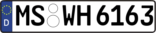 MS-WH6163