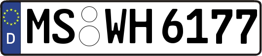 MS-WH6177