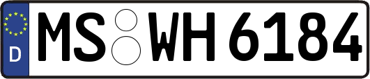 MS-WH6184