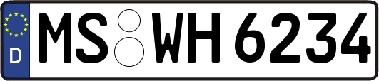 MS-WH6234