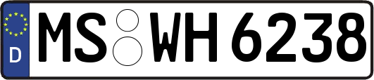 MS-WH6238