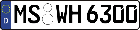 MS-WH6300