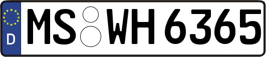 MS-WH6365
