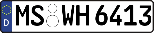 MS-WH6413