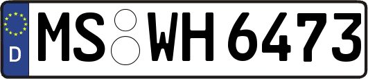 MS-WH6473
