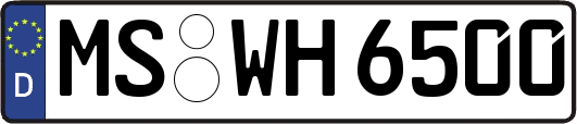 MS-WH6500