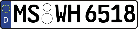 MS-WH6518