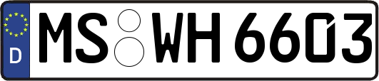 MS-WH6603
