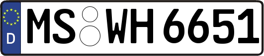 MS-WH6651