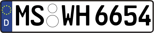 MS-WH6654