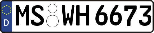 MS-WH6673