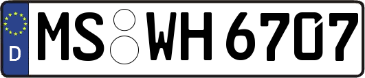 MS-WH6707