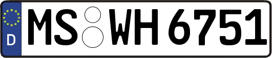 MS-WH6751
