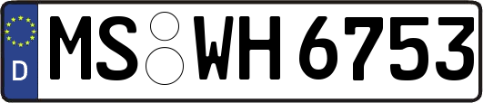 MS-WH6753