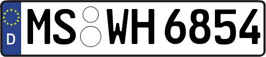 MS-WH6854