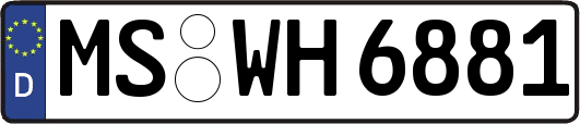 MS-WH6881