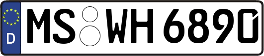 MS-WH6890
