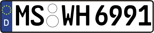 MS-WH6991