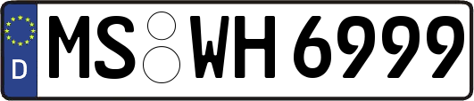 MS-WH6999