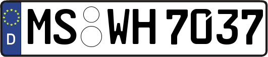 MS-WH7037