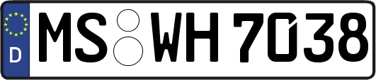 MS-WH7038