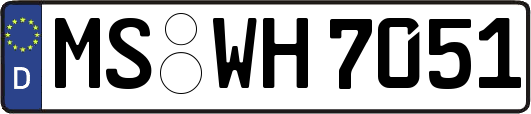 MS-WH7051