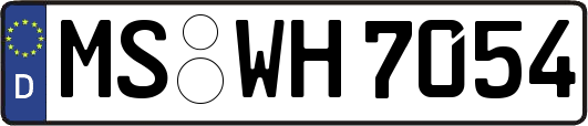 MS-WH7054