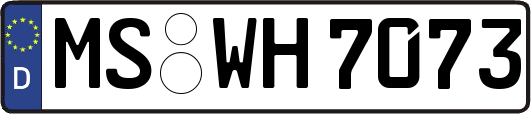 MS-WH7073