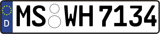 MS-WH7134