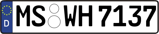 MS-WH7137
