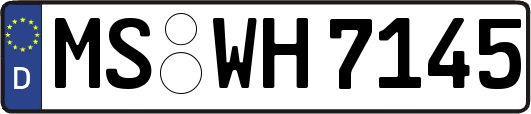 MS-WH7145