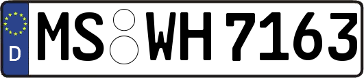 MS-WH7163