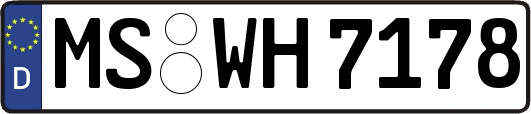 MS-WH7178