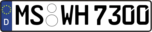 MS-WH7300
