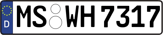 MS-WH7317