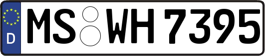 MS-WH7395