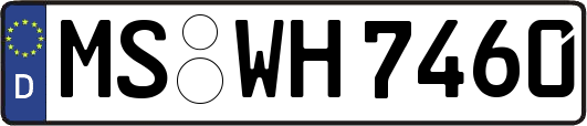 MS-WH7460