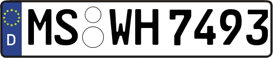 MS-WH7493