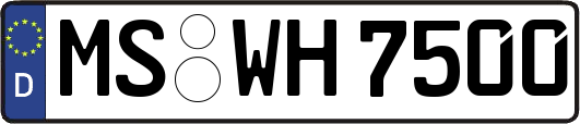 MS-WH7500
