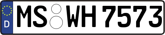 MS-WH7573