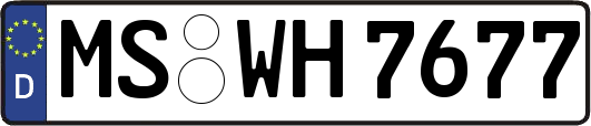 MS-WH7677