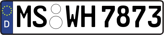 MS-WH7873