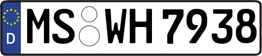 MS-WH7938