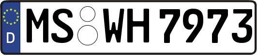MS-WH7973
