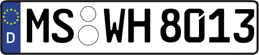 MS-WH8013